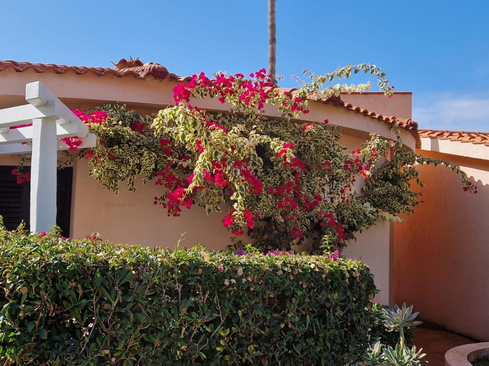 Villaggio Cala Di Volpe 4*