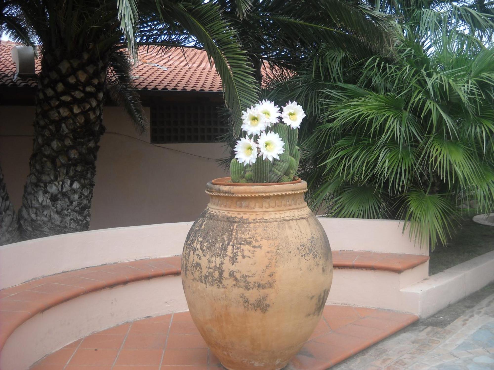 Villaggio Cala Di Volpe